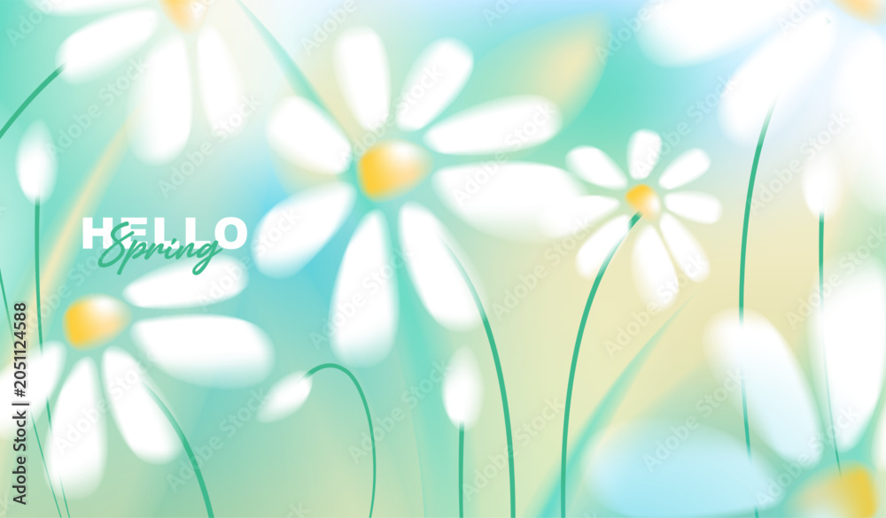 Obraz premium Hello spring greeting card vector background with beautiful white daisy flowers blooming in fresh green and blue soft bokeh, perfect for seasonal banner, flyer, poster and wallpaper design.