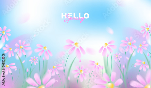 Beautiful spring horizontal banner with pink cosmos flowers on abstract blurred bokeh background, vector illustration of blooming floral backdrop for greeting card, web header design.