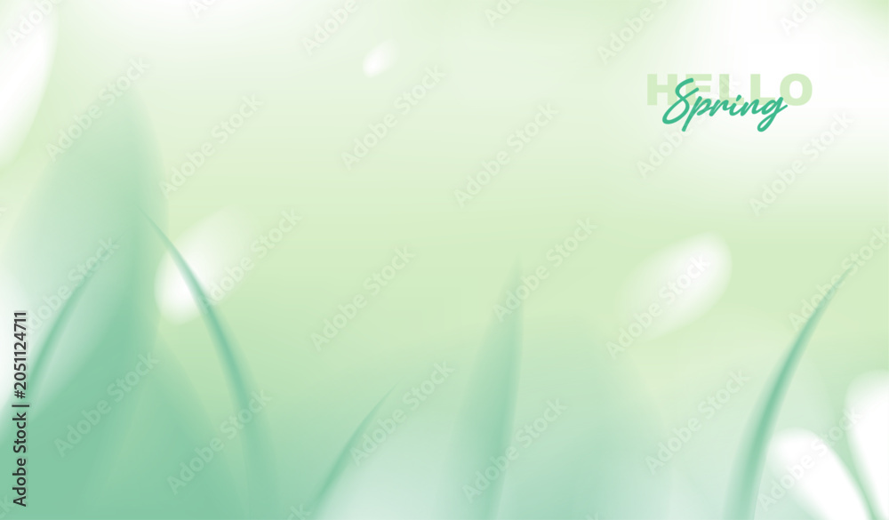 Obraz premium Hello spring greeting card vector background with copy space, abstract minimal organic soft green fluid gradient blur, fresh grass leaves and bokeh light for seasonal eco nature banner and poster.