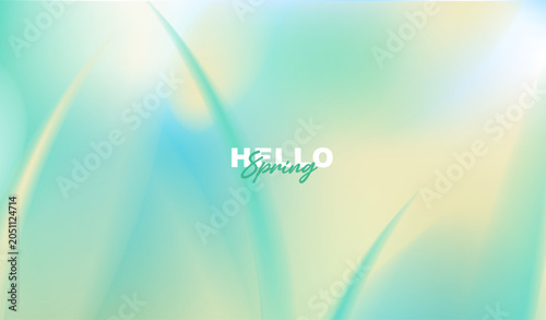 Hello spring greeting card vector background with abstract minimal soft green fluid gradient blur, organic wave and bokeh light for seasonal fresh nature banner, poster and wallpaper design.