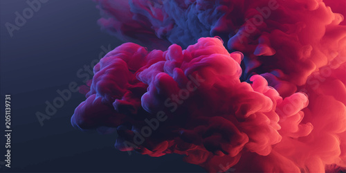 Bild auf Leinwand A beautiful closeup of purple and pink anemone and coral reefs in an aquarium an