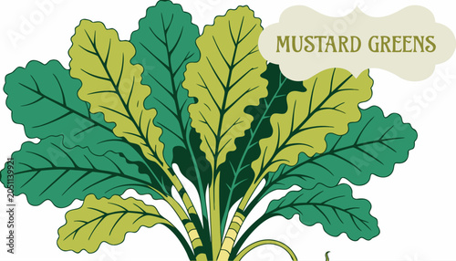 Schilderij op canvas Very beautiful vibrant mustard greens featuring broad textured leaves, realistic