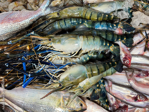 Obraz na plátne Fresh giant river prawns and various fish on ice at a local market, showcasing t