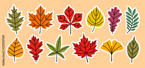 Foto Autumn leaf sticker set with oak, maple, chestnut, birch, ginkgo and ash leaves