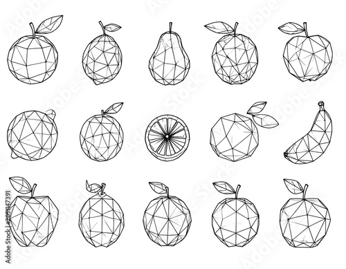 A collection of 12 geometric line art fruits on a white background