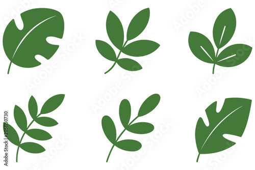 Group of tropical and forest leaves in flat green style for natural botanical graphic elements