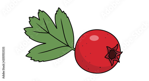 Vibrant red berry with green leaf isolated on white background illustration