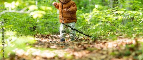Toddler exploring nature walking in a green forest