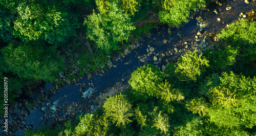 Obraz na plátně Drone aerial view of a shallow river winding through dense green forest