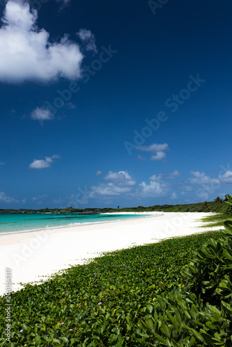 White sandy beach and turquoise sea on Irabu Island, Okinawa, Japan
伊良部島の白い砂浜とエメラルドブルーの海