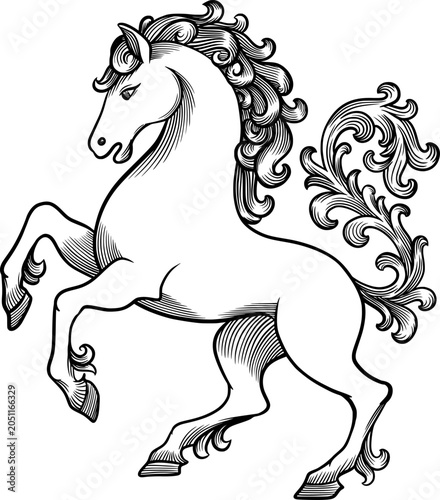 rearing horse vector ink illustration