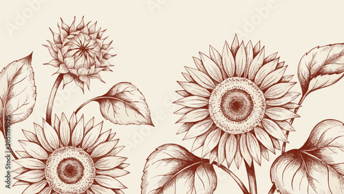 Sepia Tone Sketch of Sunflowers and Leaves on a Light Background botanical