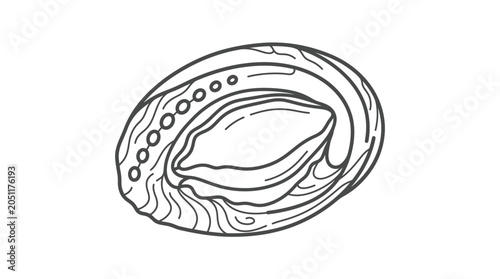 Tableau sur toile Detailed line art illustration of an abalone shell.