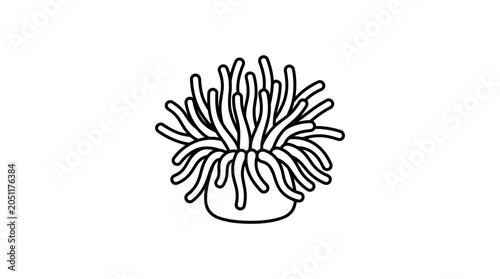 Obraz na płótnie Simple sea anemone line art vector illustration.