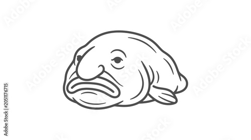 Obraz na płótnie Realistic blobfish line art illustration on white background.