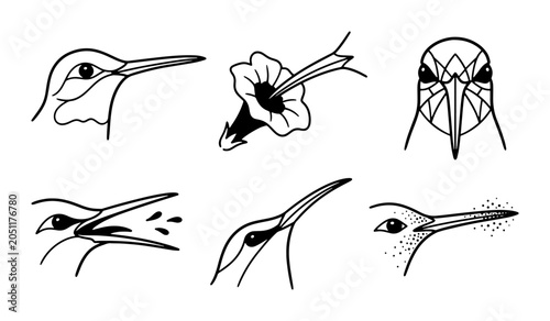 Bild auf Leinwand Hummingbird Heads Vector Set, Delicate Bird Profiles, Nature Elements, Ornitholo