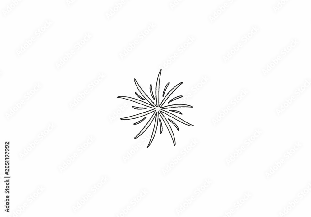 Fototapeta premium Minimalist Line Art Drawing of a Starburst or Asterisk Shape.