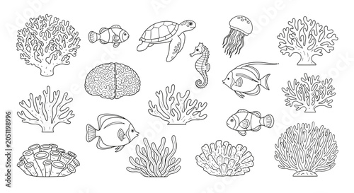 Detailed black and white line art illustration of marine life and coral reef ecosystem