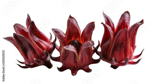Fotografie Three Red Roselle Calyxes Close Up