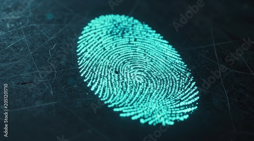 Understanding the importance of fingerprints in security and identification systems