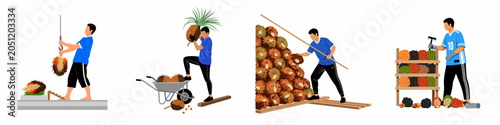 Foto Set of illustrations depicting a worker harvesting, transporting, and processing oil palm fresh fruit bunches in various stages of manual labor