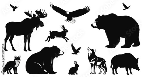 Photography black silhouettes of various wild animals, wildlife icons, nature symbols