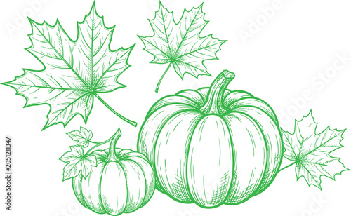 Halloween day sketch pumpkins and maple leaves autumn festive illustration