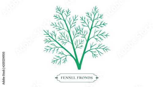 Εκτύπωση καμβά Very beautiful vibrant fennel fronds featuring delicate feathery foliage, fresh