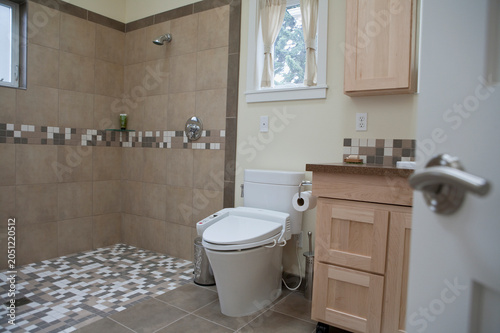 Interiors of a bathroom of an accessible home