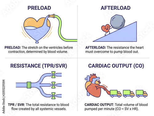 Heart mechanics are depicted through simplified conceptual illustrations representing preload, afterload, systemic resistance, and cardiac output for clear educational and clinical presentation.