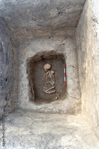 Archaeological excavations. Human remains, bones of skeleton and skulls of 6 year old child in the ground tomb.