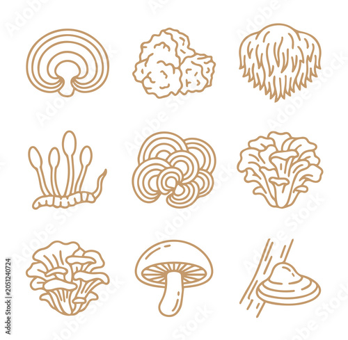 Foto Set of brown outline depicting various types of mushrooms and fungi including sh