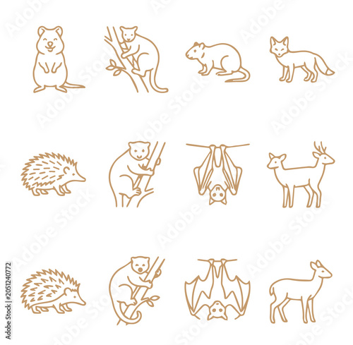 Canvas Print Set of wild animals including quokka, hedgehog, bat, and deer line isolated on a