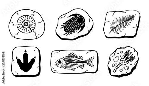 Canvas-taulu Fossil Collection Vector Icons: Ancient Life, Paleontology, Prehistoric Organism