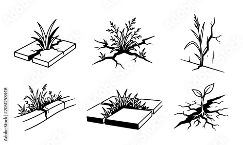 Obraz na plátne Weeds Growing Through Cracks: Resilience, Nature, Urban Plants, Resilience Vecto