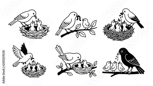 Valokuva Bird Family Feeding Chicks, Nesting Birds, Spring Wildlife Vector Set
