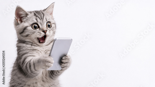 Shocked cat looking at smartphone with copy space on white background