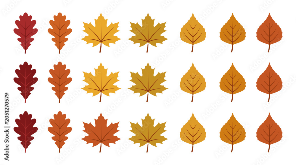 Fototapeta premium Set of autumn tree leaves in flat vector style on white