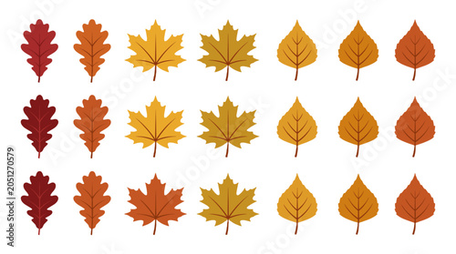 Set of autumn tree leaves in flat vector style on white