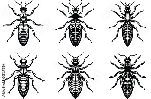 Foto Set of black termite insect silhouettes showing different castes like worker, so