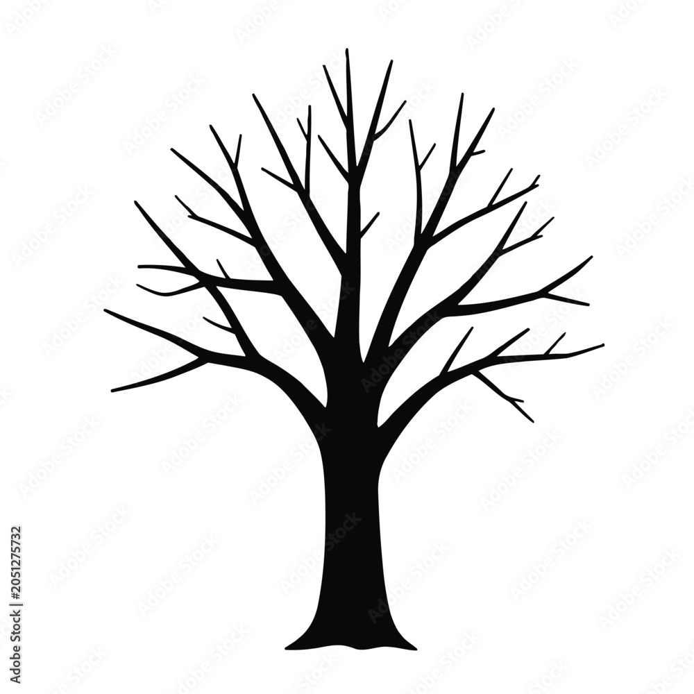 Fototapeta premium Silhouette of a leafless tree isolated on white background
