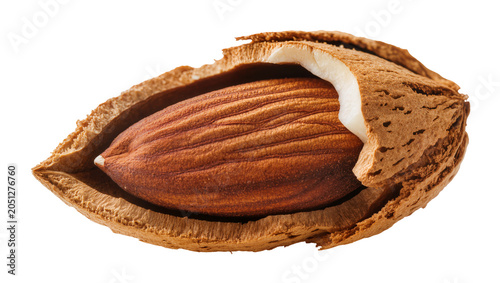 Almond nut in shell cracked open showing kernel
