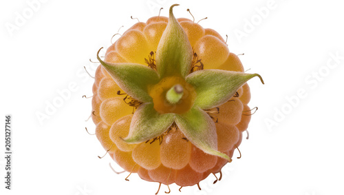 Tableau sur toile Yellow raspberry with green sepals and fine hairs