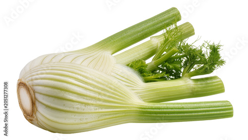 Картината върху платно Fresh fennel bulb with green stalks and feathery leaves