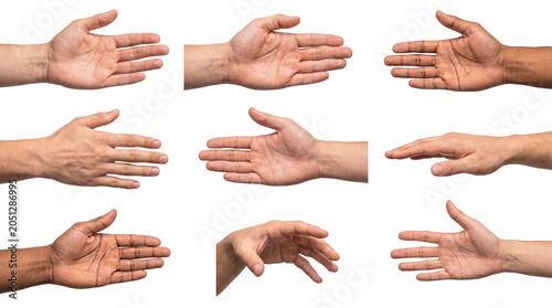 Foto Collection of diverse human hands open and reaching out