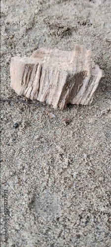 Bild auf Leinwand A textured piece of natural tree bark lying on dusty soil with fragment woodland