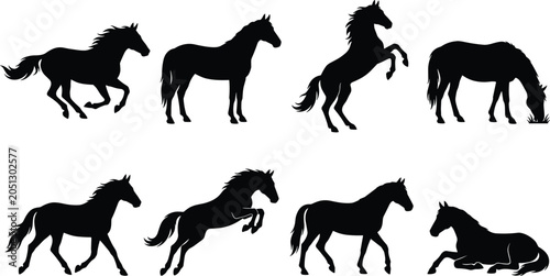 Fényképezés Horse Silhouette Collection Set with Running Rearing Grazing and Resting Equine
