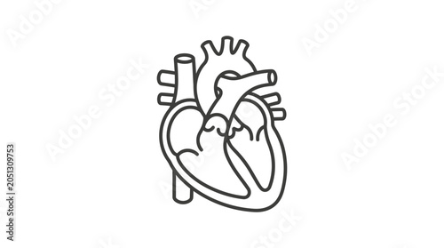 Foto Human heart organ outline for cardiology concepts.