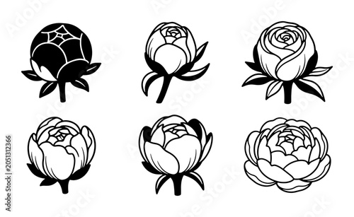Peony Flower Buds Vector Icons, Delicate Floral Elements, Botanical Line Art Illustrations