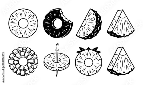 Canvas Print Pineapple Slices Vector Icons: Tropical Fruit Halves, Rings, and Wedges, Hand-Dr